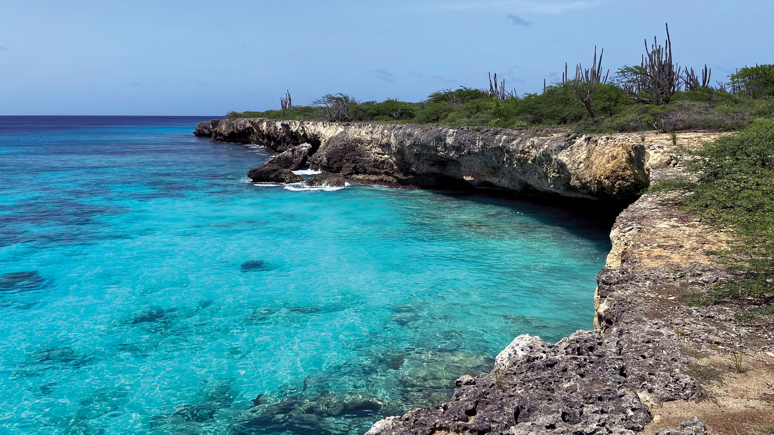 2560x1440_Bonaire_Washington_Slagbaii_National_Park